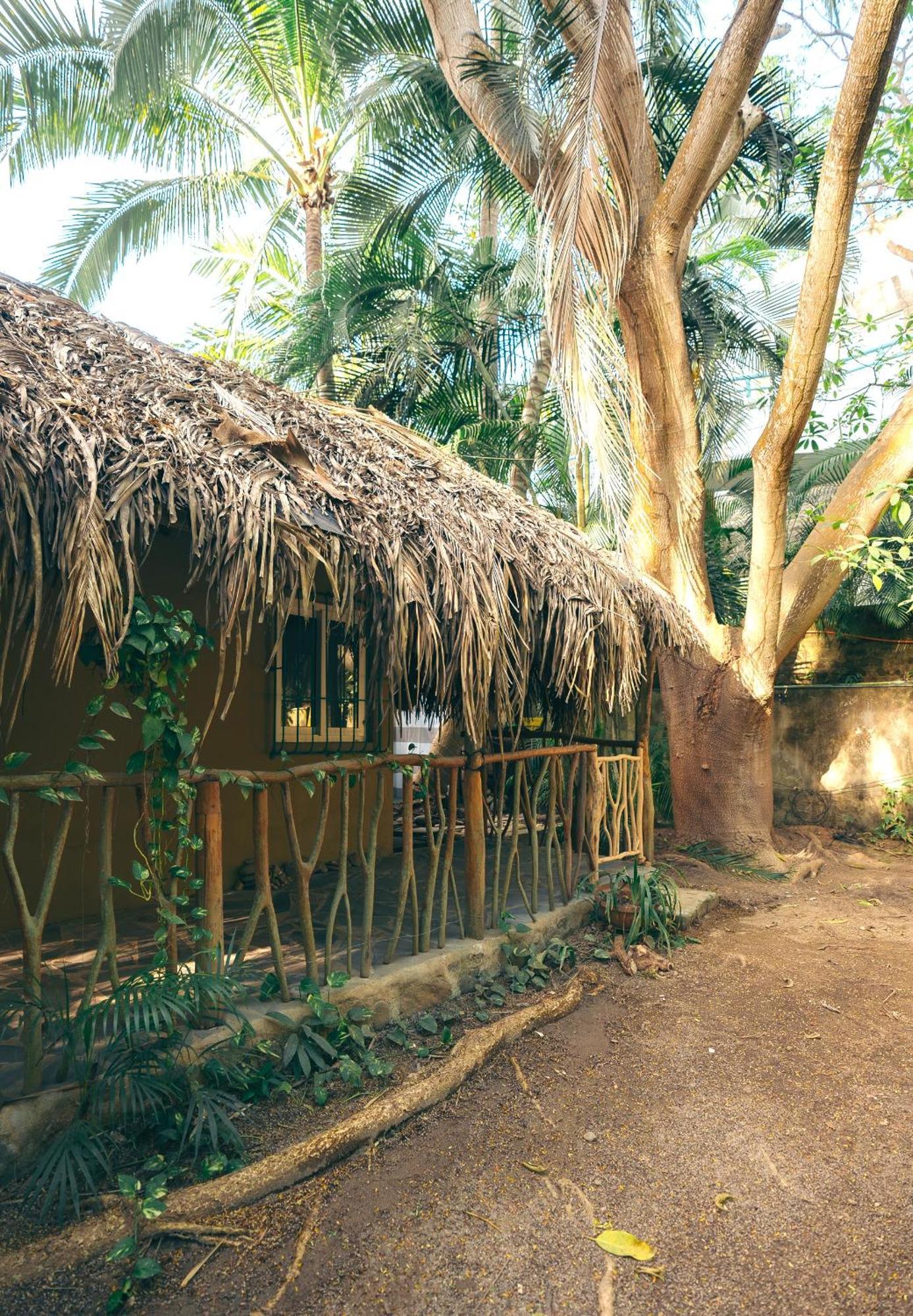 Junto Al Rio Bungalows & Suites Sayulita Exterior photo