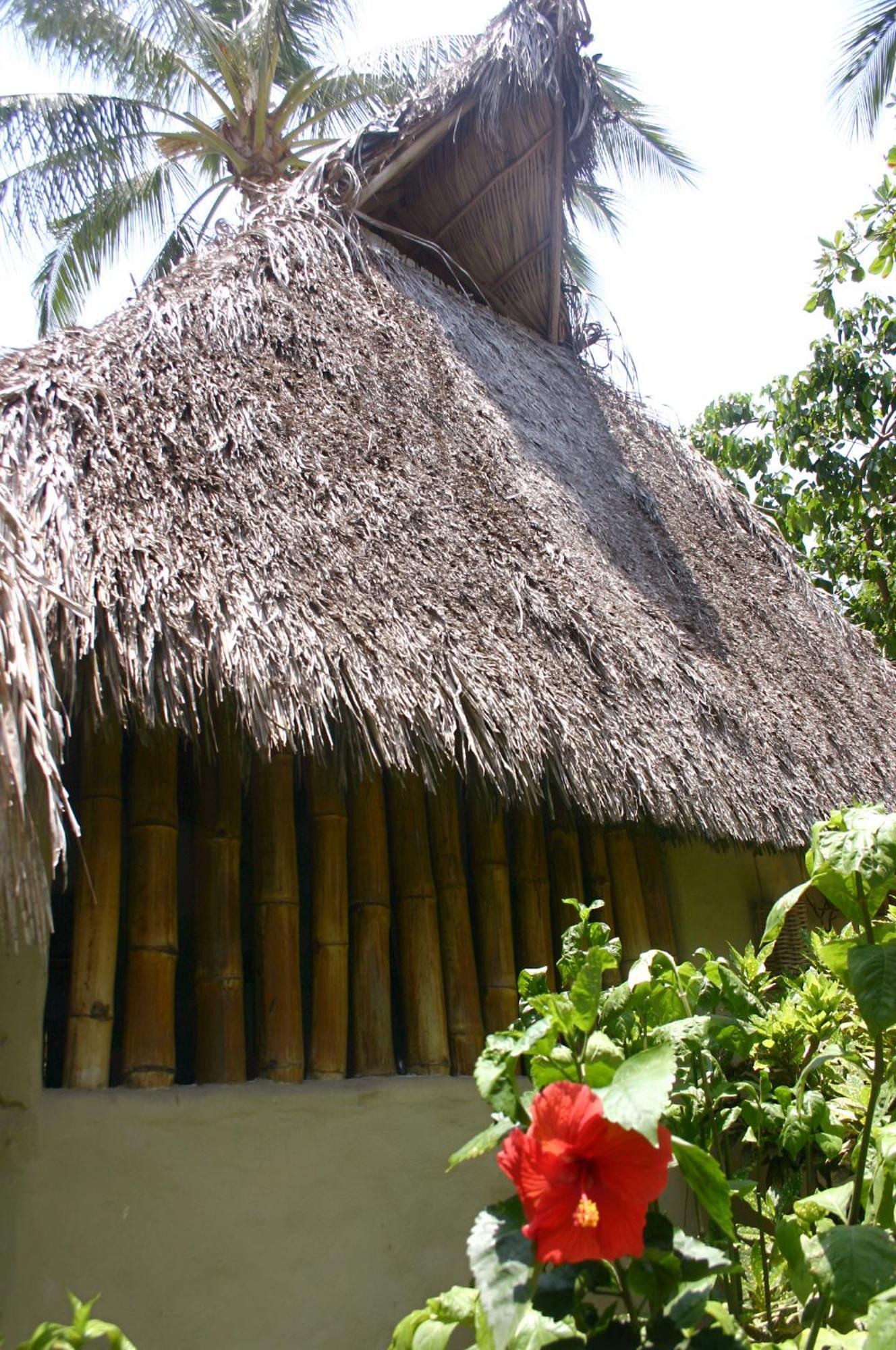 Junto Al Rio Bungalows & Suites Sayulita Exterior photo