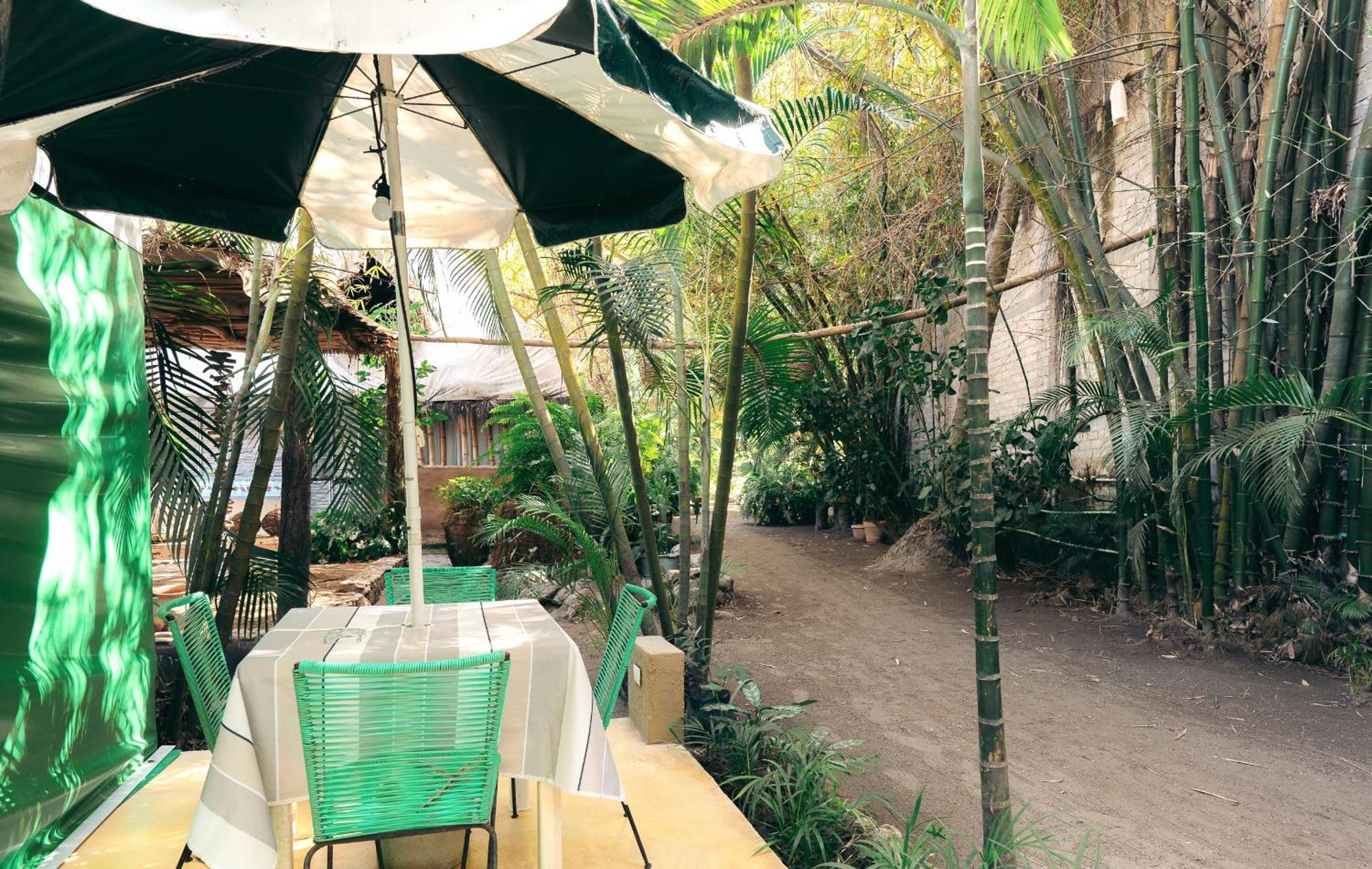 Junto Al Rio Bungalows & Suites Sayulita Exterior photo