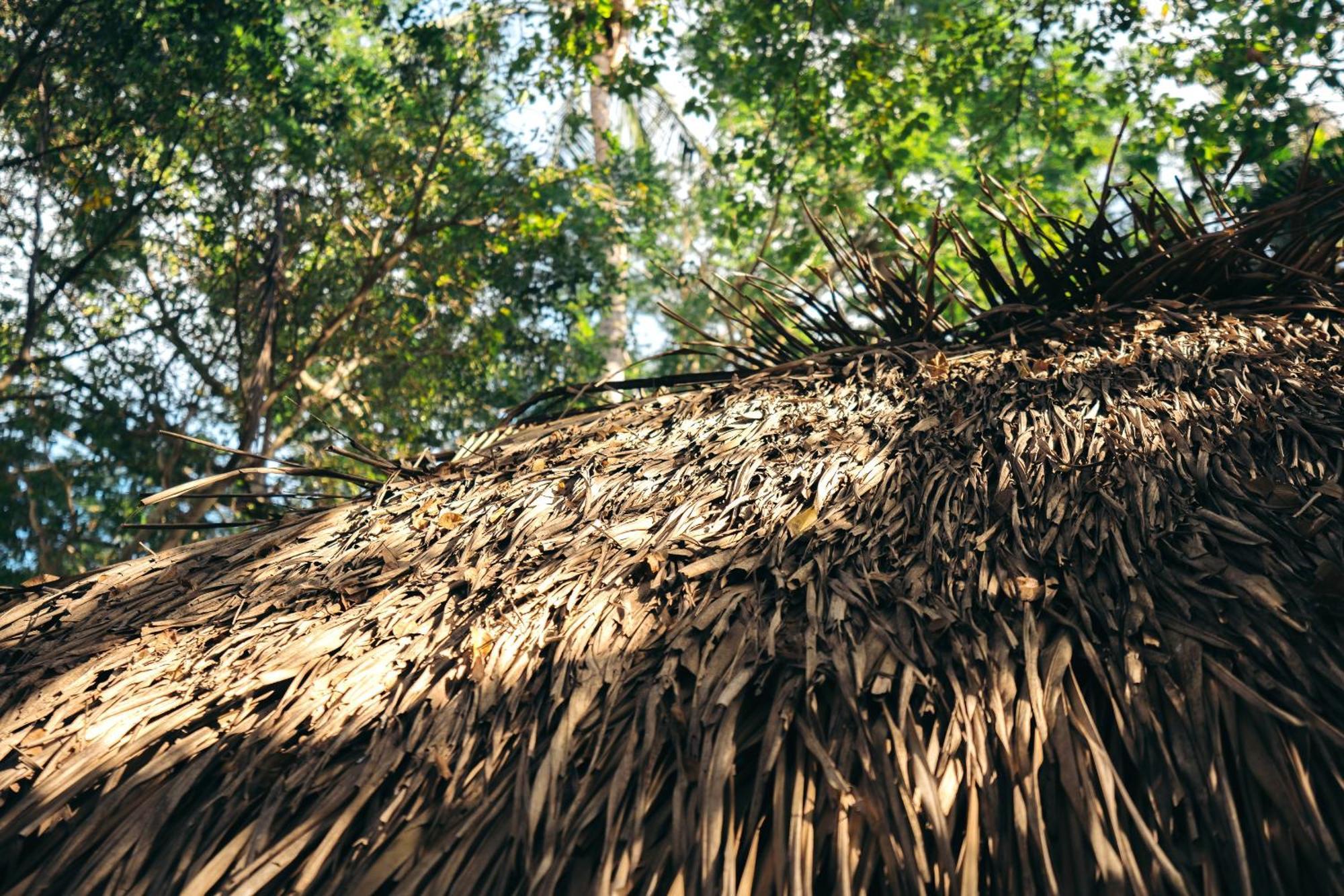 Junto Al Rio Bungalows & Suites Sayulita Exterior photo