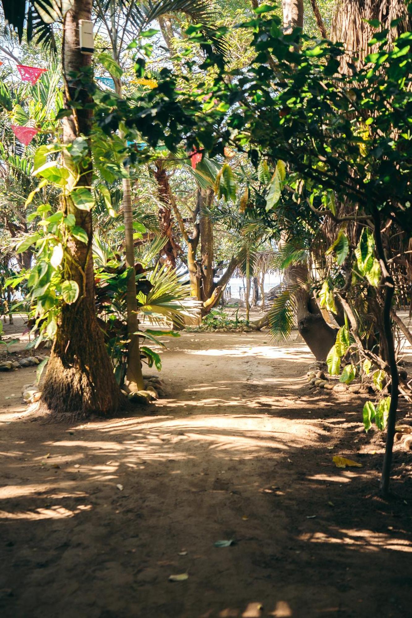 Junto Al Rio Bungalows & Suites Sayulita Exterior photo