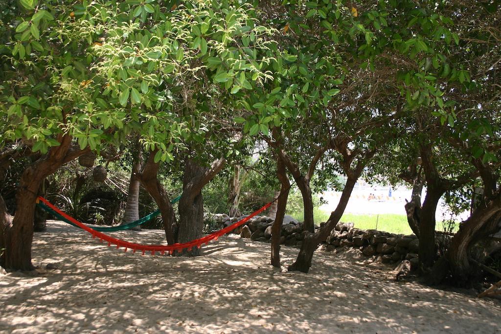 Junto Al Rio Bungalows & Suites Sayulita Exterior photo